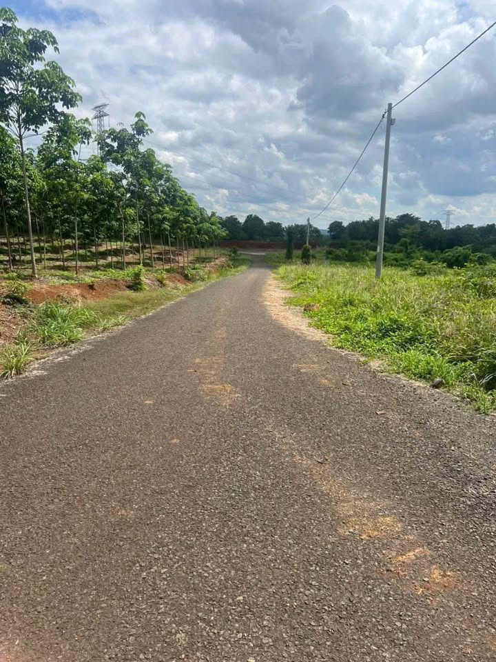 Đất nền liền kề Phú Trung, Huyện Phú Riềng 550m² giá chỉ 399 triệu - Cơ hội đầu tư hấp dẫn!