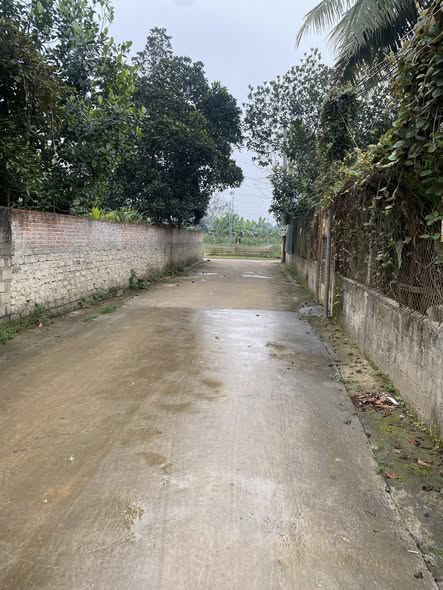 Đất nền Tuyên Quang 80m² giá 1.7 tỷ - Cơ hội đầu tư hấp dẫn!