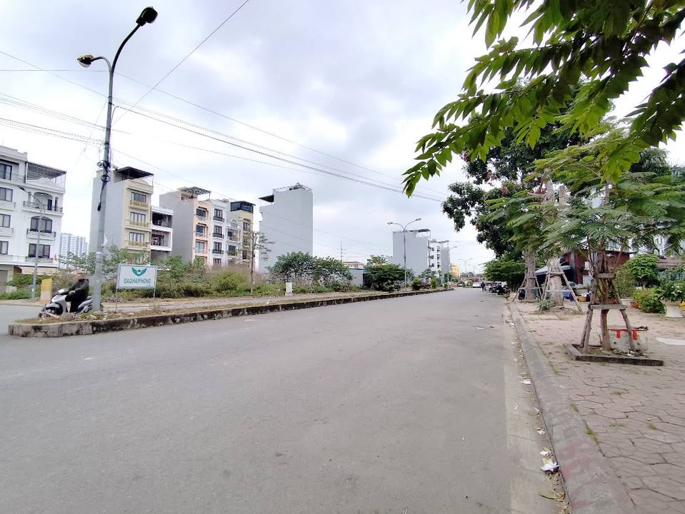 Đất Tái định cư Cây Đa, Hải Phòng 40m² giá 4.4 tỷ - Đường rộng, thoáng mát!