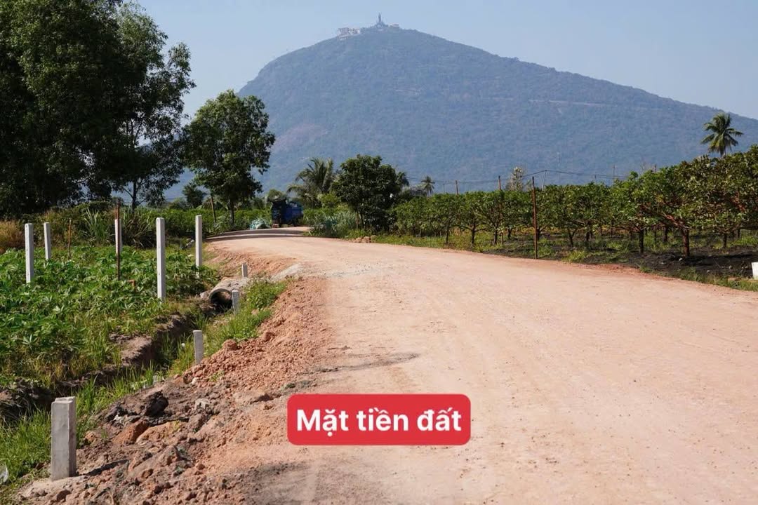 Đất nền tại xã Dương Minh Châu, Tây Ninh 200m² giá 259 triệu - View núi đẹp tuyệt vời!