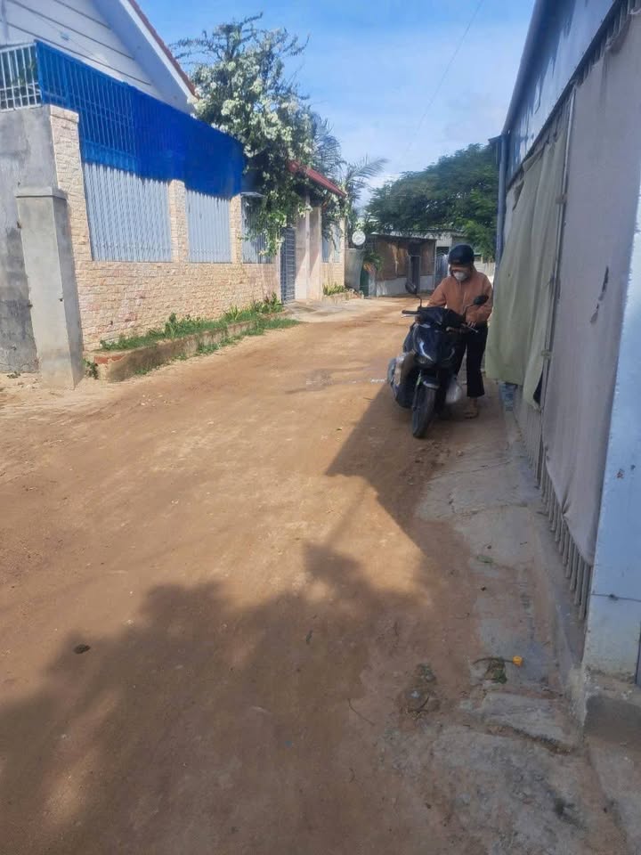 Đất nền Khu phố 5, Phường Văn Hải, 116m² giá 390 triệu - Đầu tư lý tưởng!