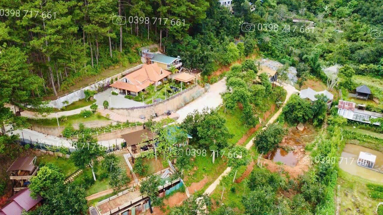 Cho thuê khu lưu trú 7000m² tại Đà Lạt - Tiềm năng khai thác mô hình đa dạng!