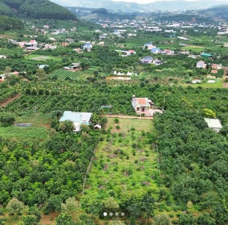 Đất thổ cư Mê Linh, Lâm Hà 2.068m² giá 4.5 tỷ - Định cư lý tưởng!