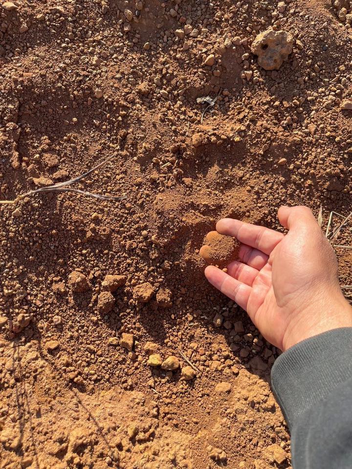 Đất nông nghiệp 1,1ha tại thị trấn Chư Sê - Giá 2,5 tỷ - Cơ hội đầu tư sinh lời!