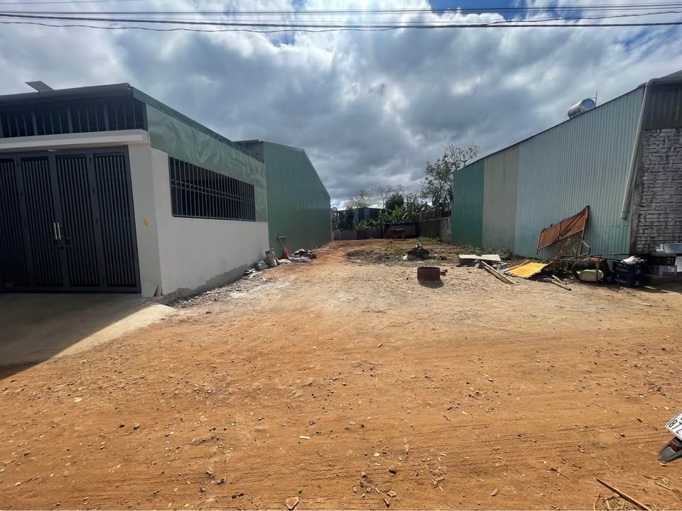 Đất nền đường Nguyễn Siêu, phường Diên Hồng, 150m² giá 780 triệu - Sổ hồng chính chủ!