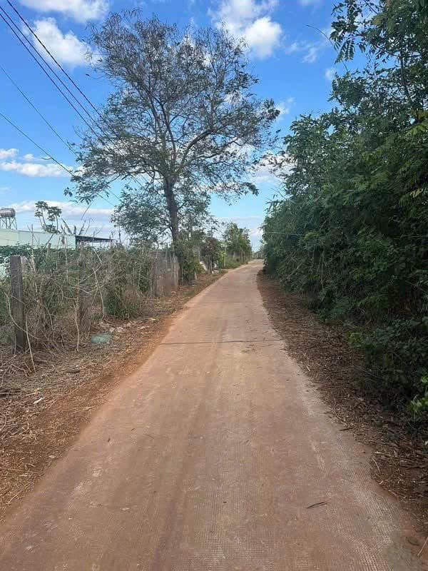 Đất nền 5500m² tại Trương Định, An Phú - Giá 3 tỷ - Đầu tư sinh lời!