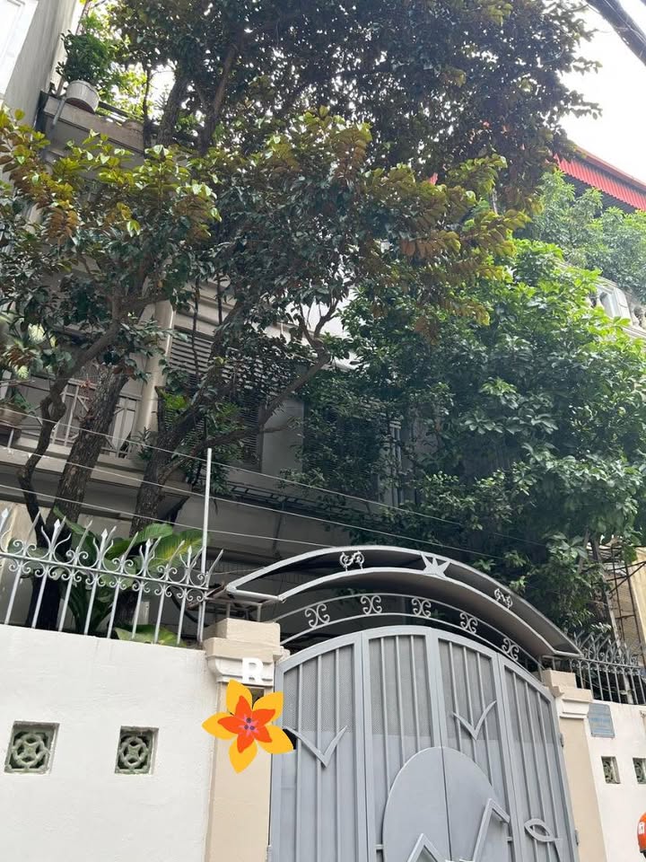 Nhà phố Bạch Mai 42m² giá 10,78 tỷ - Sẵn sàng đón Tết!