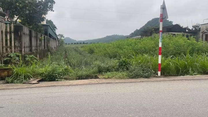 Đất thổ cư Phú Long, 150m² giá 1 tỷ - Không thể bỏ lỡ!