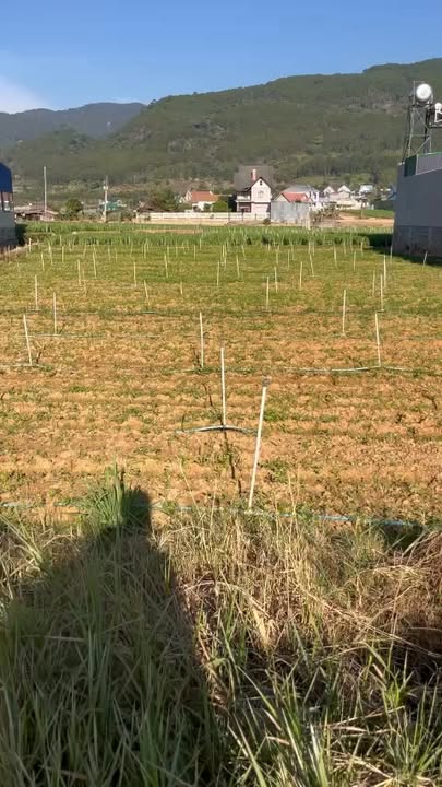 Đất nền Hiệp An, Đức Trọng 441m² giá 6 tỷ - Đầu tư sinh lời lý tưởng!