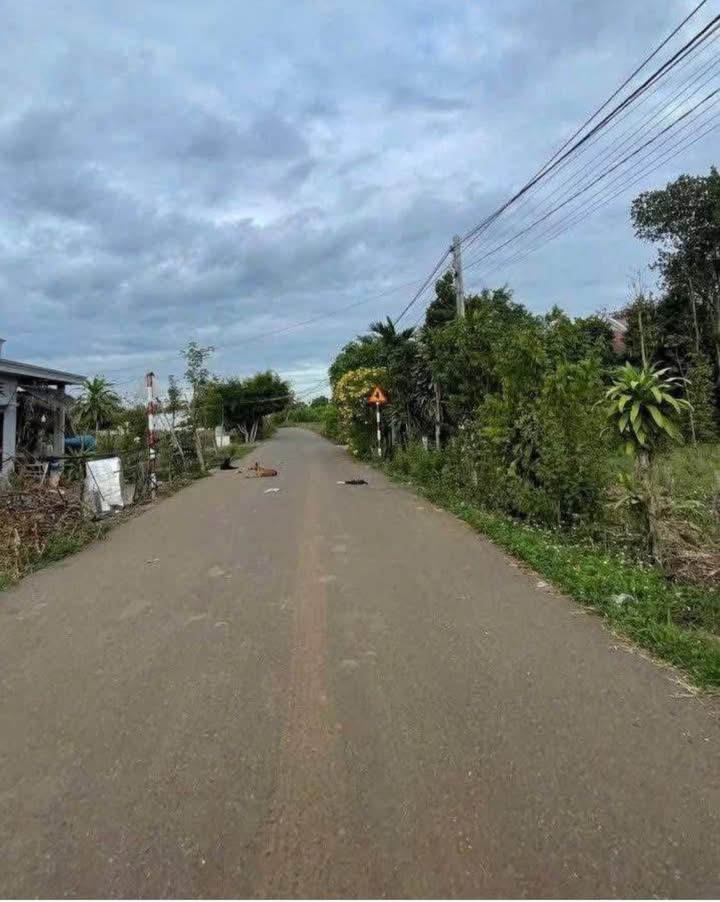 Đất thổ cư Bình Trung, Thủ Đức - 14400m² sổ hồng sẵn sàng