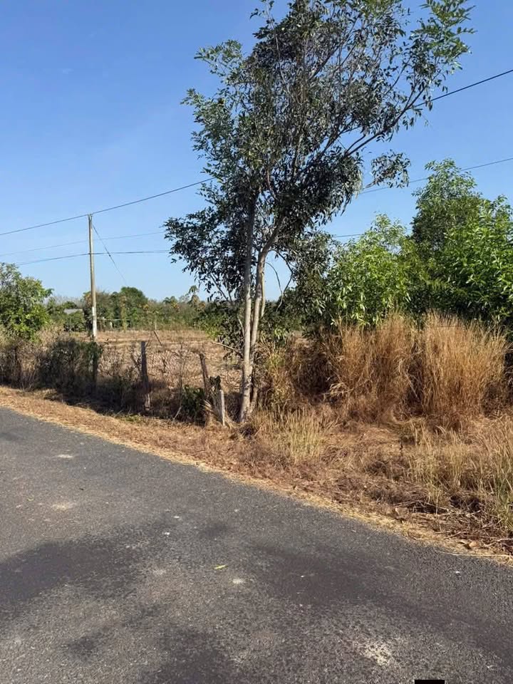 Đất nền mặt tiền nhựa 5m tại Thị trấn Lai Uyên - 16,800m² chỉ 530 triệu