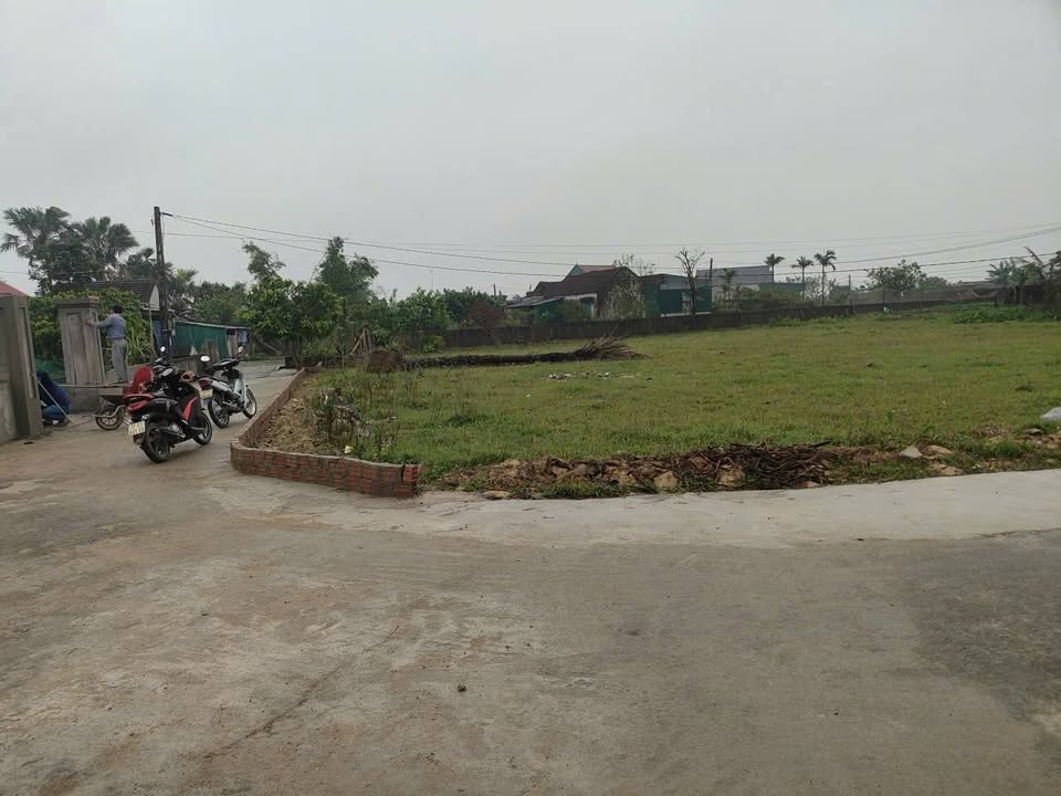 Đất nền Cẩm Lạc - 231m² chỉ 300 triệu - Đầu tư sinh lời ngay!