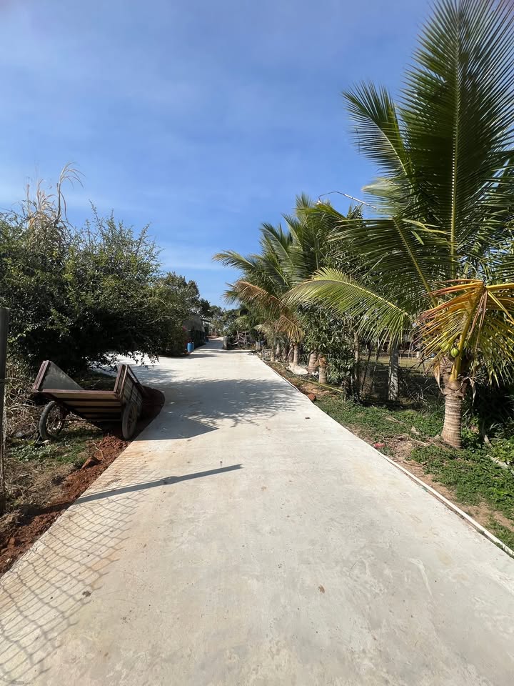 Đất nông nghiệp Phú Hội 360m² giá 1.2 tỷ - Đầu tư sinh lời hấp dẫn!