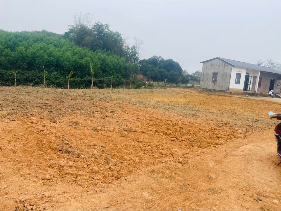 Đất thổ cư 224m² tại Phường An Tường, Tuyên Quang - Đầu tư sinh lời ngay!