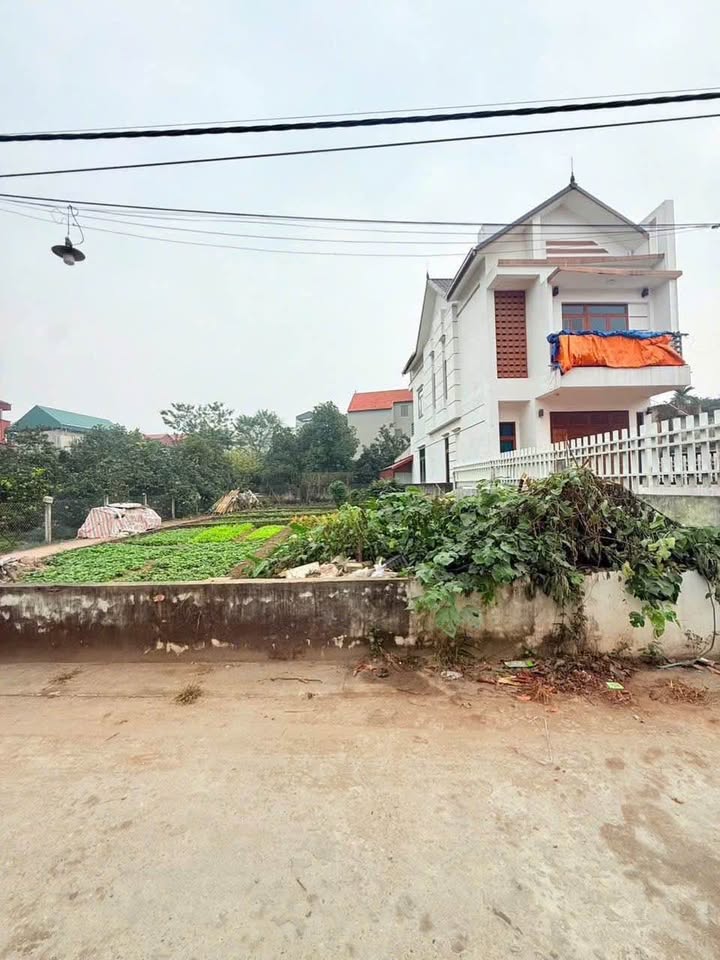 Đất nền Xã Trung Châu 69.9m² giá 3 tỷ - Đường ô tô tránh nhau