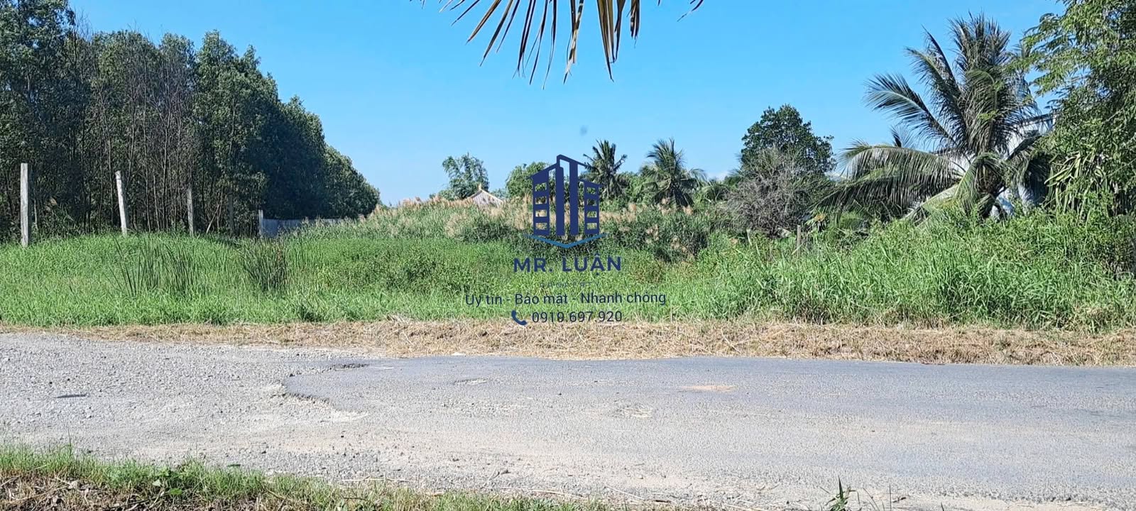 Bán Đất Vườn Cà Mau 1362m² - Lô Góc Hướng Đông Bắc, Giá 2.2 Tỷ