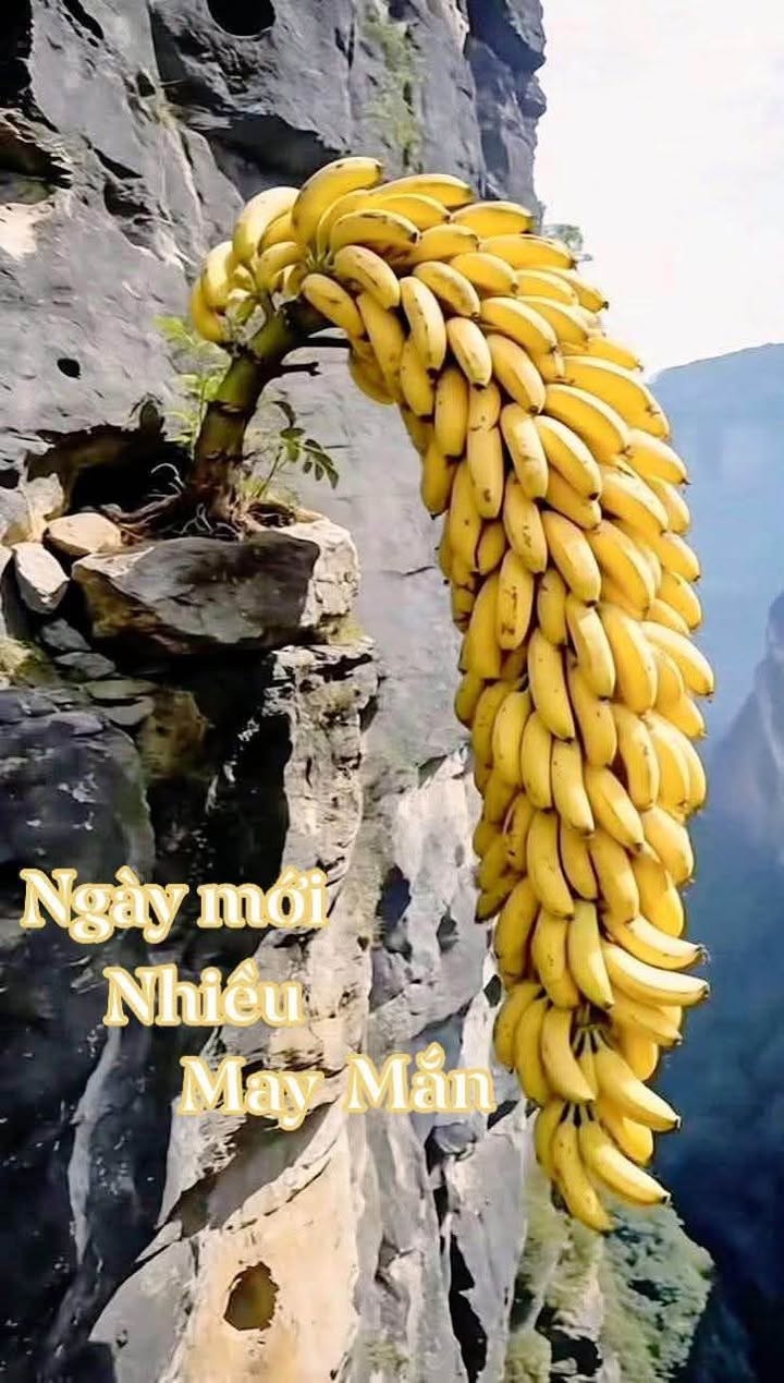 Đất nền KĐT Kỳ Đồng, Thái Bình 56m² giá 2 tỷ - Đầu tư sinh lời hấp dẫn!