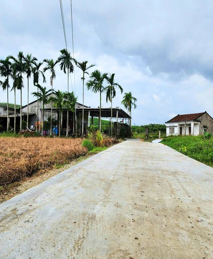 Đất ở Tịnh Thọ, Sơn Tịnh, Quảng Ngãi 120m² giá 460 triệu - Đầu tư sinh lời ngay!