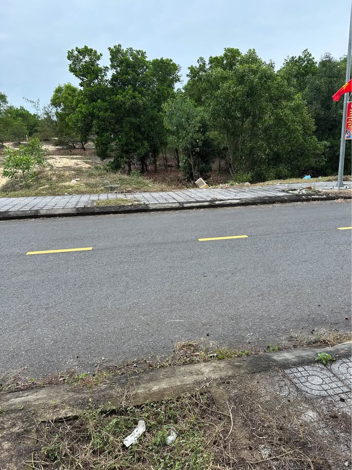 Đất nền biển Nam Hội An 10.000m² giá chỉ 2,5 tỷ - Cơ hội đầu tư tuyệt vời!