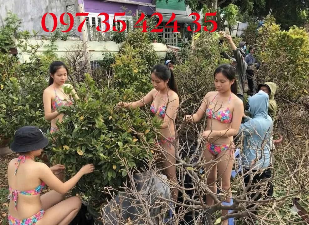 Đất nền Nguyễn Công Phương, Nghĩa Kỳ, 300m² - Cơ hội đầu tư tuyệt vời!