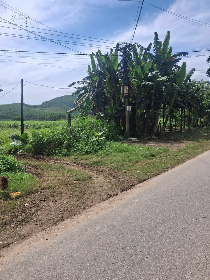 Đất vườn 1285m² tại Hành Thiện, Nghĩa Hành - Cơ hội đầu tư hấp dẫn!