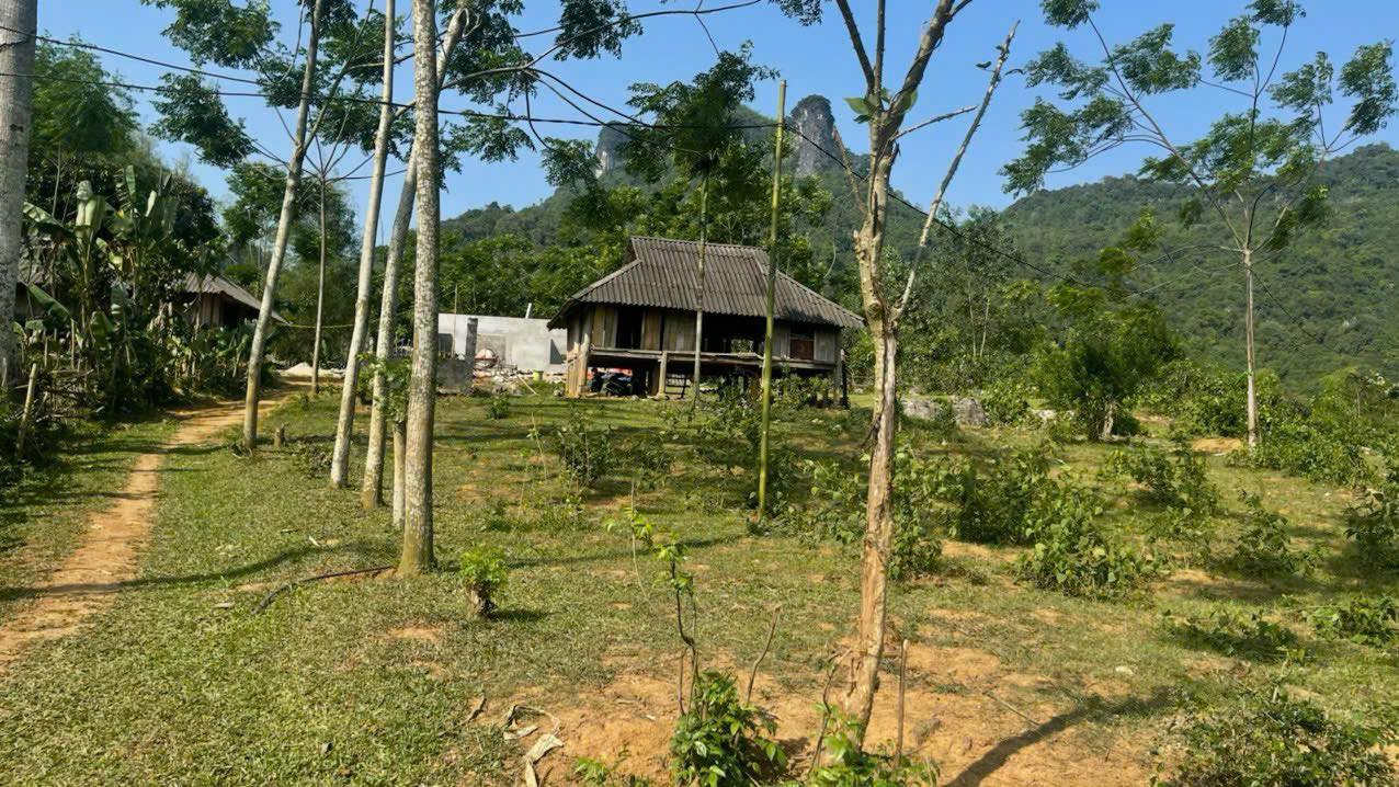 Đất nền xã Mỹ Hòa, huyện Tân Lạc, Hòa Bình 1000m² - Sổ đỏ chính chủ, giá 700 triệu!