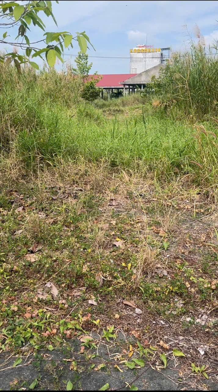 Đất nền Thị trấn Mái Dầm 82.5m² giá chỉ 660 triệu - Sổ riêng sẵn sàng công chứng!