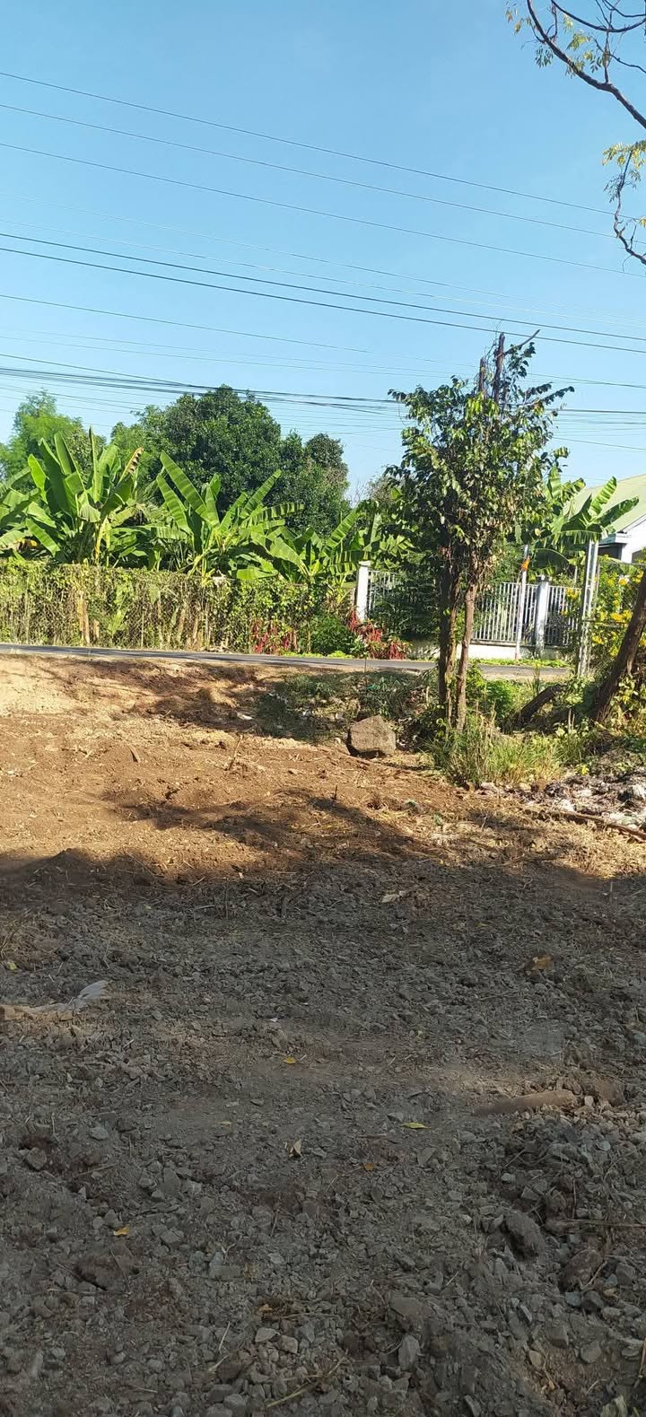 Đất nền đầu tư tại Xã Sông Trầu, Huyện Trảng Bom, 175m² chỉ 1.2 tỷ - Cơ hội vàng cho nhà đầu tư!