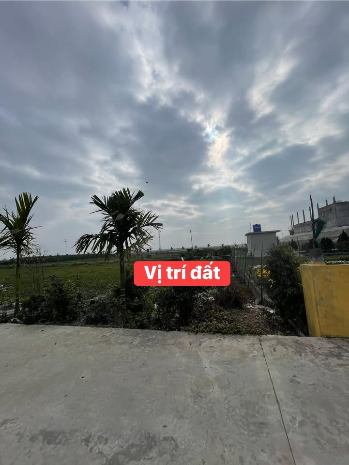 Đất nền xã Giao Tân, huyện Giao Thủy, 150m² giá 1 tỷ - Đầu tư sinh lời ngay!