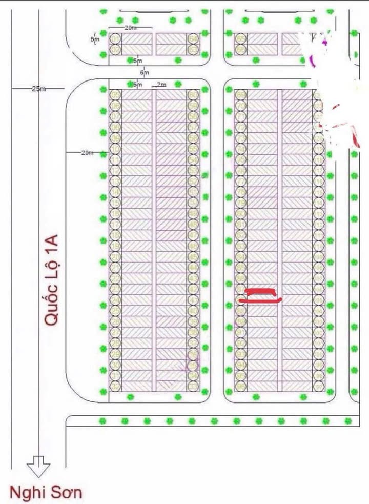 Đất nền Xã Quảng Đức, Huyện Quảng Xương 100m² giá tốt - Cơ hội đầu tư hấp dẫn!