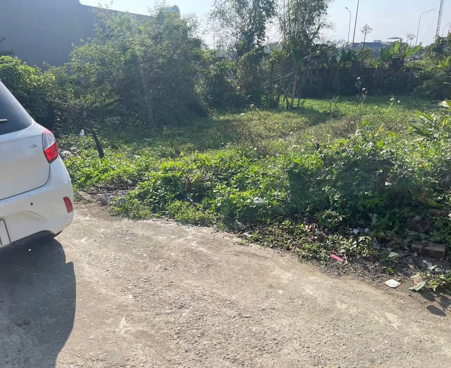 Đất chính chủ tại Quảng Ngọc, Quảng Xương 225m² - Pháp lý đầy đủ!