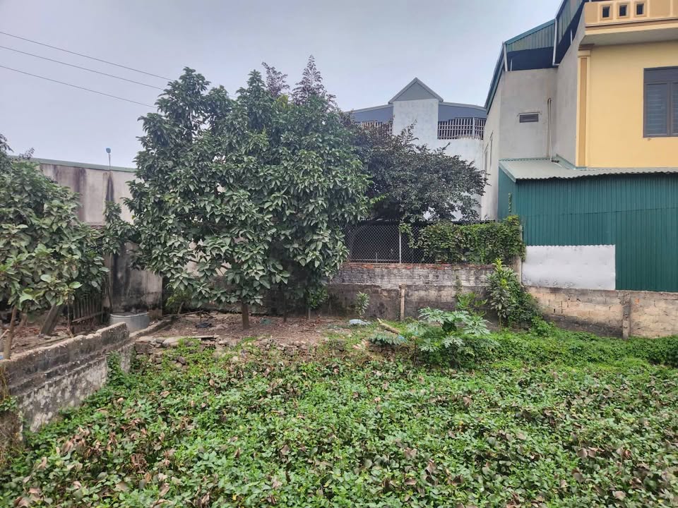 Bán đất Thịnh Hùng - Quảng Thịnh 134m² giá 1 tỷ - Mặt tiền 14,7m