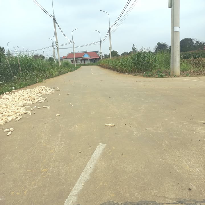 Đất nền chính chủ tại xã Sao Vàng, Thanh Hóa 360m² - Giá chỉ 1,2 tỷ!