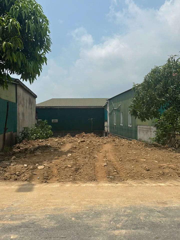 Đất chính chủ Tỉnh lộ 20, Mai Phụ 170m² giá 2.5 tỷ - Vị trí kinh doanh sầm uất!