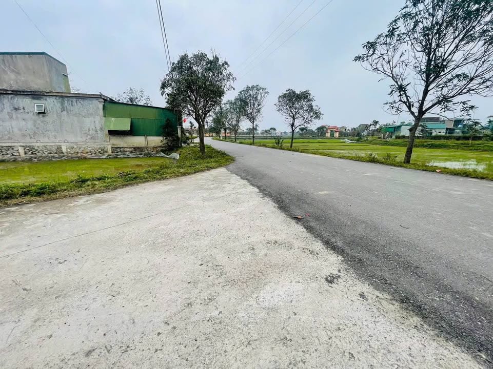 Đất nền Tượng Sơn, 105m² chỉ 1 tỷ - Đường rộng mênh mông!