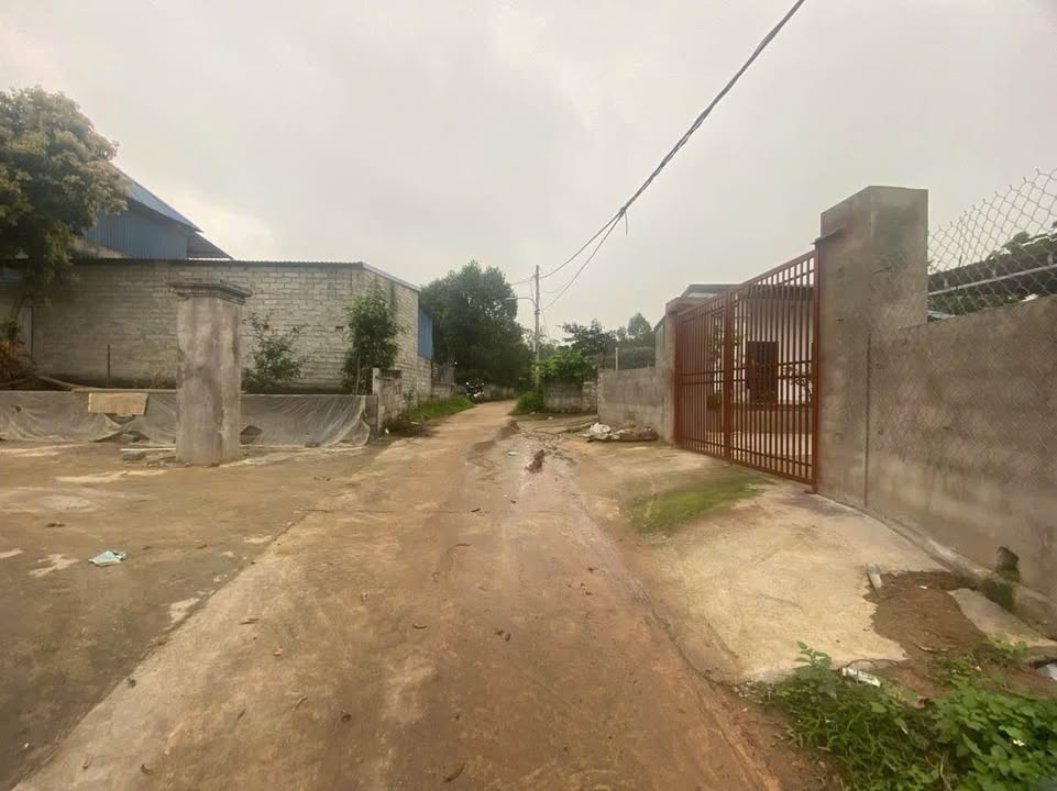 Đất thổ cư Phường Tân Thành, Thái Nguyên 95m² giá chỉ 500 triệu - Cơ hội đầu tư hấp dẫn!