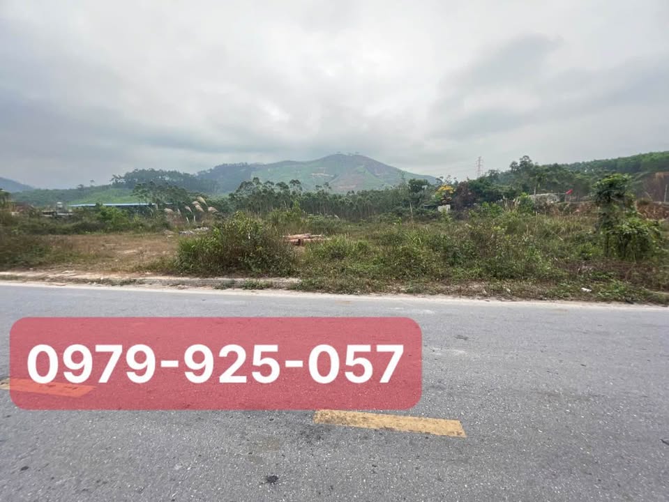 Đất nền mặt tiền đường Thượng Yên Công, Thủy Nguyên, 1400m² - Cơ hội đầu tư hấp dẫn!