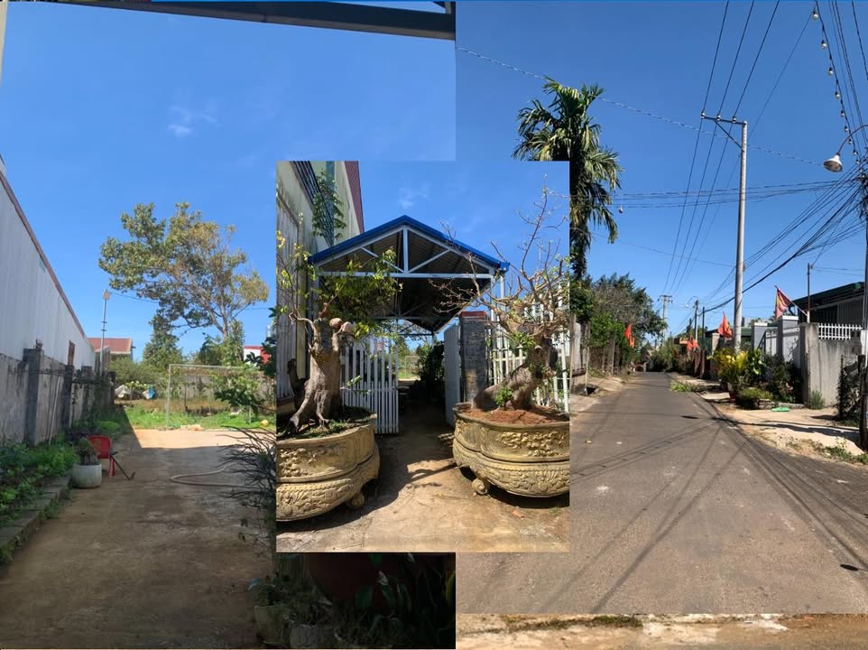 Đất thổ cư Bảo Lộc 274m² giá chỉ 4.6 tỷ - Sổ hồng chính chủ!