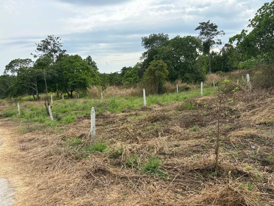 Đất nền Suối Tre, Long Khánh 620,7m² giá 800 triệu - Đầu tư sinh lời ngay!