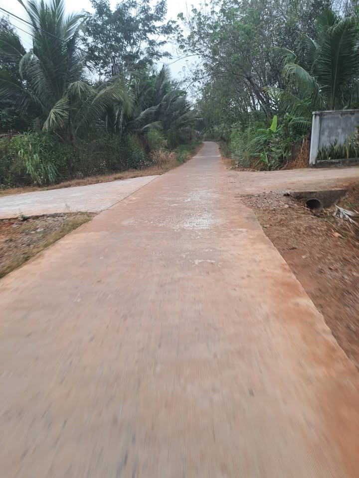 Đất Farm Lộc Thiện, Huyện Lộc Ninh, 3600m² giá 900 triệu - Đầu tư sinh lời hấp dẫn!