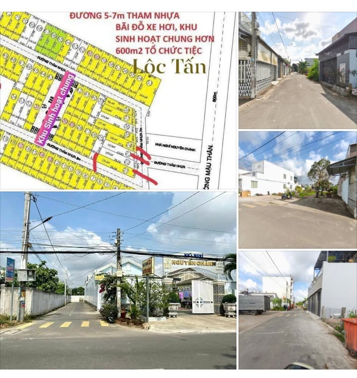 Đất nền 115m² tại Khu dân cư Phát Tài, Vĩnh Long - Giá tốt thỏa thuận