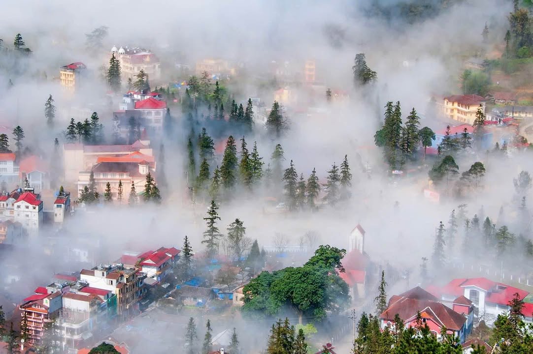 Đất nền Sa Pa 1600m² giá 86 tỷ - Cơ hội vàng cho đầu tư khách sạn!