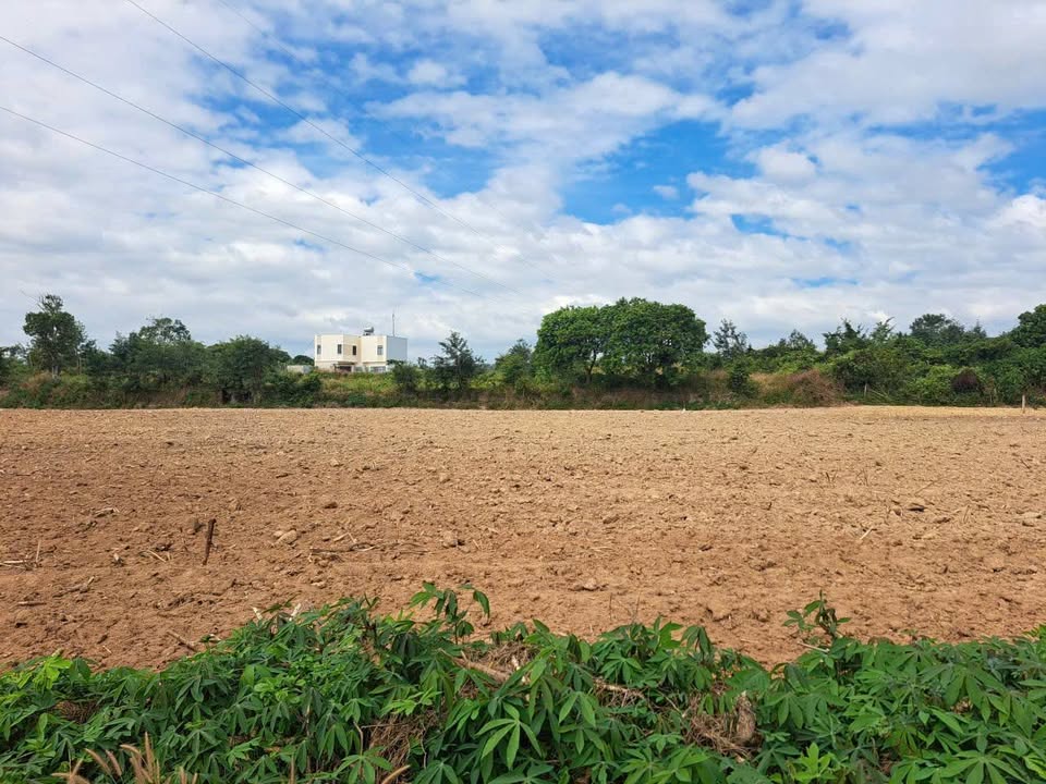 Đất nền Hẻm 246, Phường Ngô Mây, 300m² - Trung tâm dân cư đông đúc!