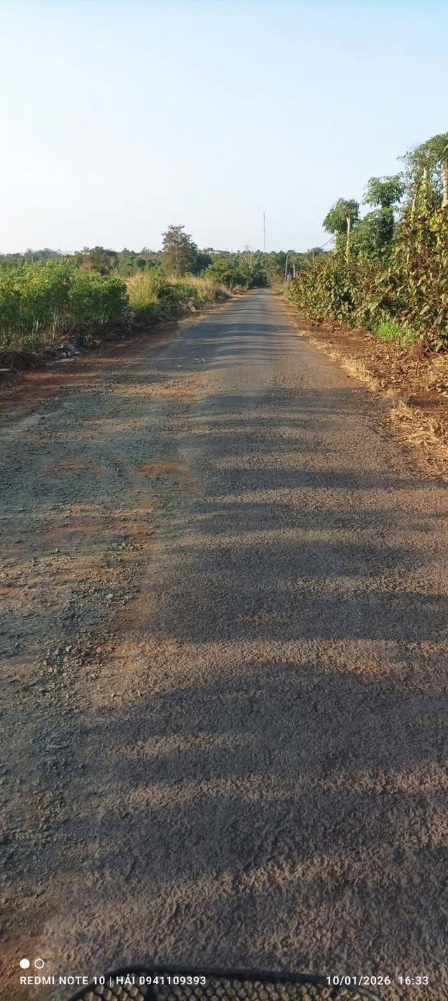 Đất nền Khánh Xuân 500m² giá 640 triệu - Đầu tư sinh lời ngay!