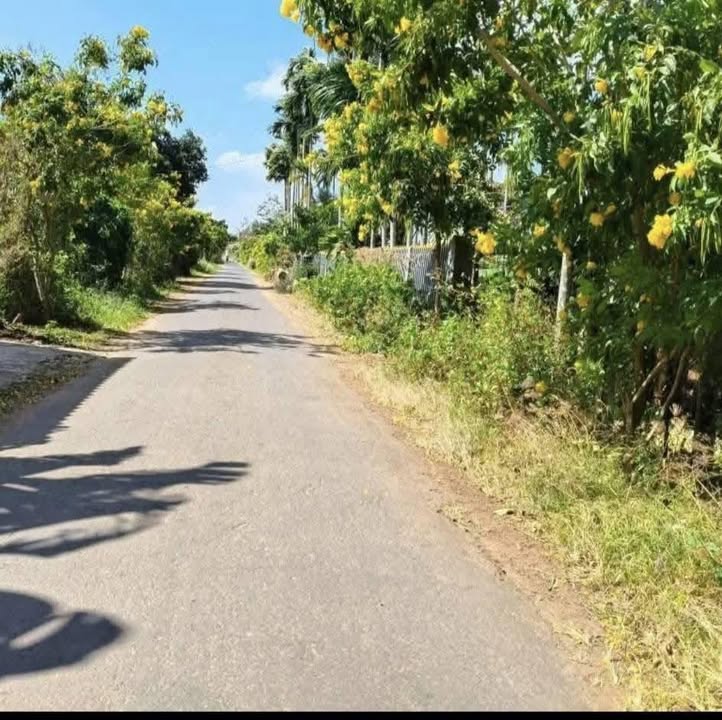 Đất thổ cư 300m² tại thôn Tân Lập, xã Ea Na - Giá chỉ 3.6 tỷ!