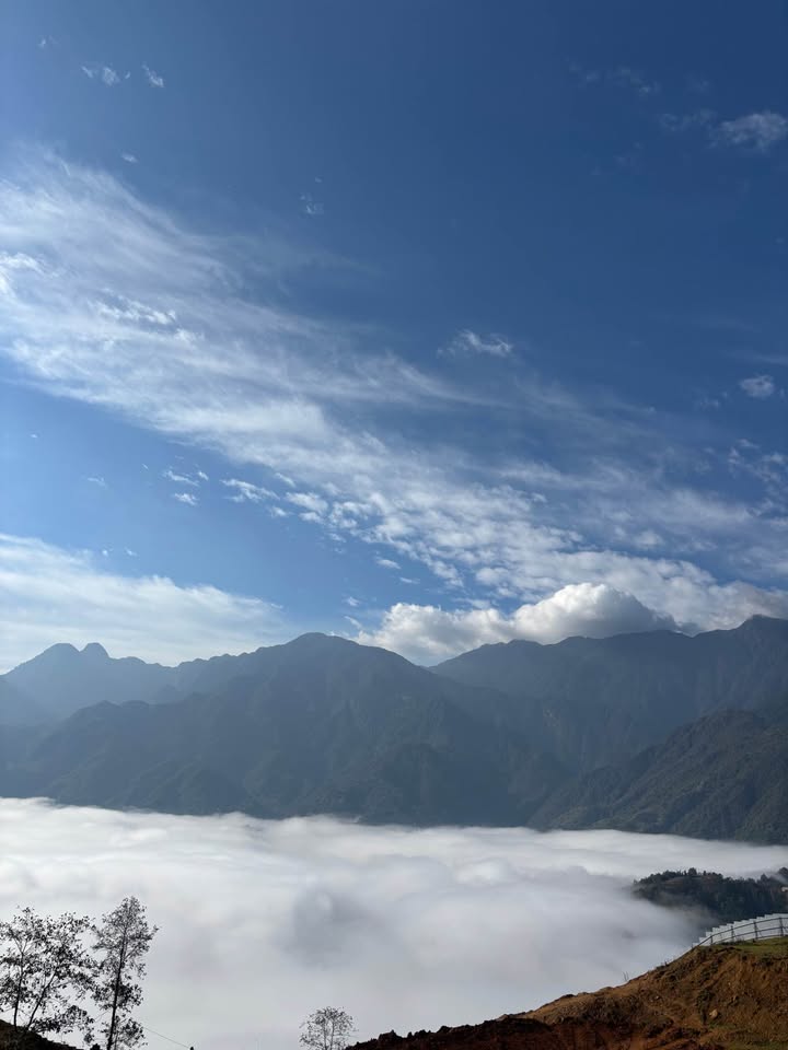 Đất trung tâm Mường Hoa – Sa Pa 718m² giá thỏa thuận - Ô tô vào tận đất!