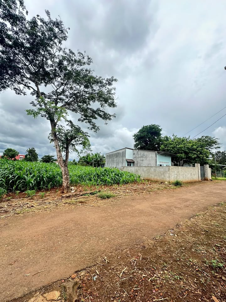 Đất nền Xã Hoà Khánh 142m² giá 600 triệu - Cơ hội đầu tư hấp dẫn!