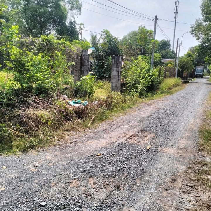 Lô đất thổ cư 838m² xã Trung An, Củ Chi - Giá bán gấp trước Tết chỉ 4 tỷ!