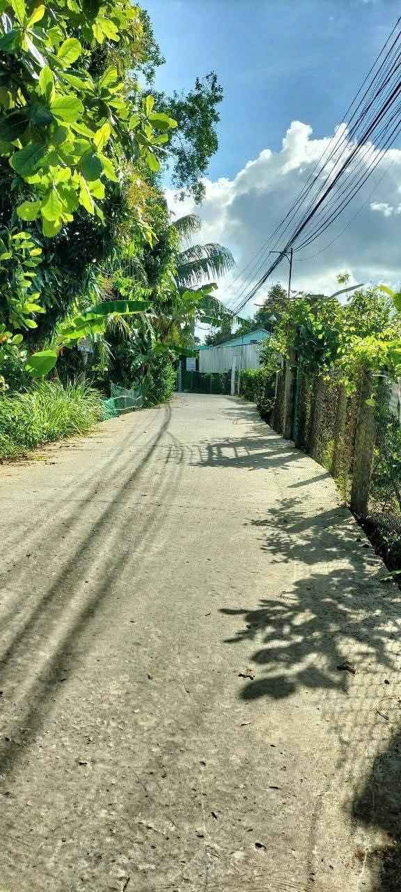 Đất nền thổ cư Trường Long, Phong Điền 235m² giá chỉ 799 triệu - Sổ hồng chính chủ!