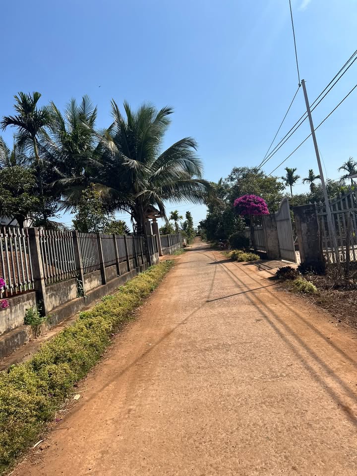 Đất nền Cư Bao, Buôn Hồ 532m² giá 600 triệu - Đầu tư sinh lời ngay!